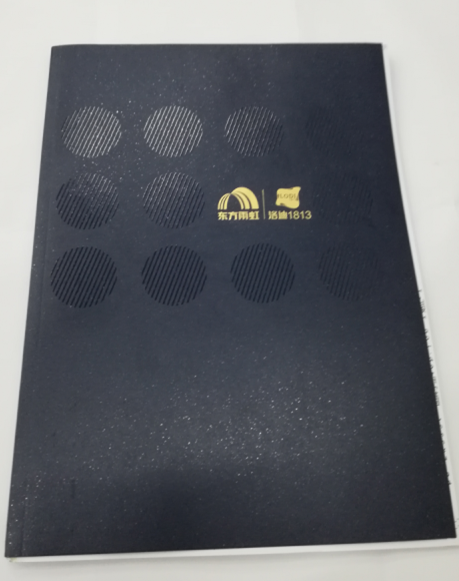 洛迪環(huán)?？萍计髽I(yè)宣傳畫冊印刷圖1