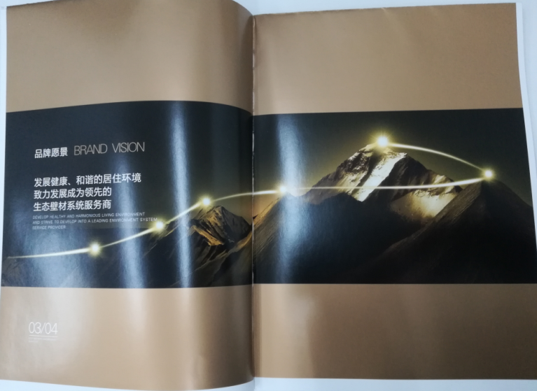 洛迪環(huán)?？萍计髽I(yè)宣傳畫冊印刷圖2