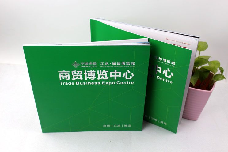 江永商貿(mào)博覽中心樓書(shū)畫(huà)冊(cè) 江永商貿(mào)博覽中心樓書(shū)畫(huà)冊(cè)