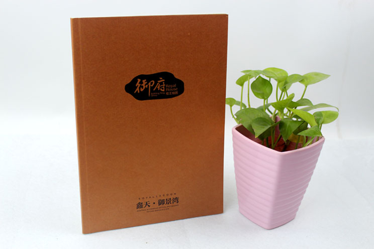 鑫天御景灣樓書(shū)畫(huà)冊(cè) 鑫天御景灣樓書(shū)畫(huà)冊(cè)