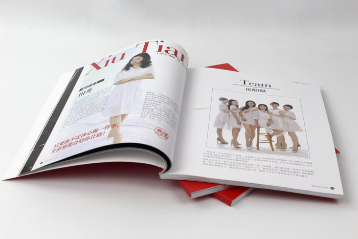 細(xì)莫食品選擇與長(zhǎng)沙印刷廠日大彩印合作，打造精品宣傳畫(huà)冊(cè)